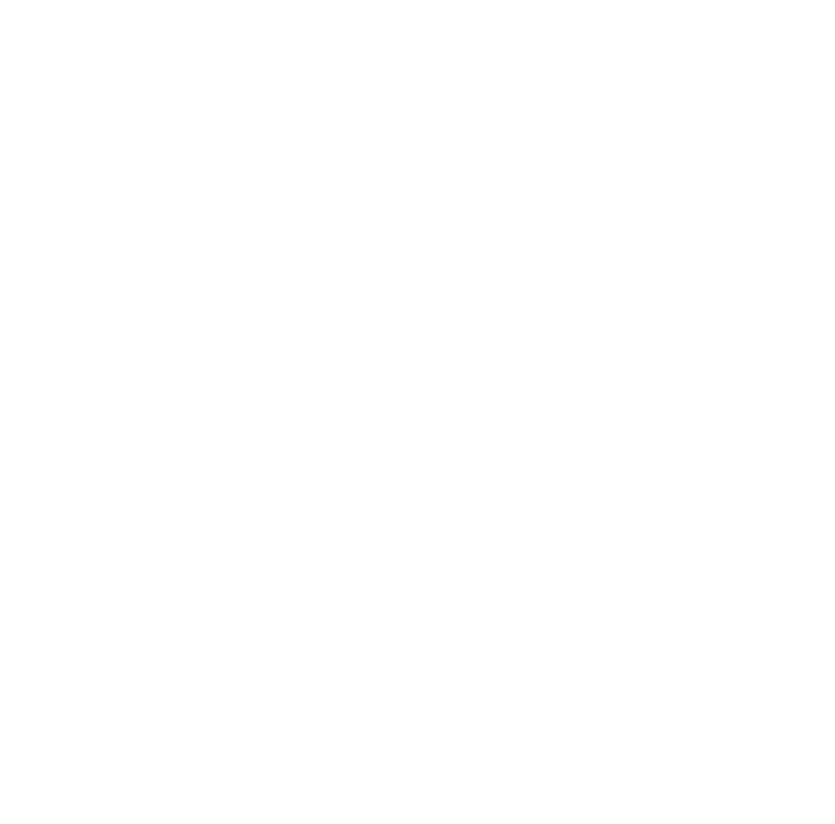 True Momentum